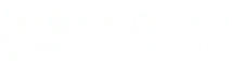 Metrowatt